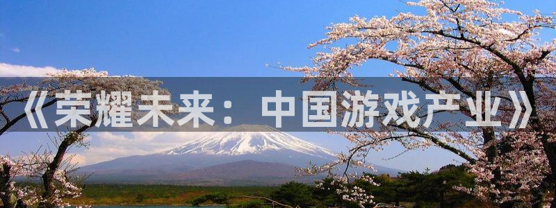 AB娱乐：《荣耀未来：中国游戏产业》
