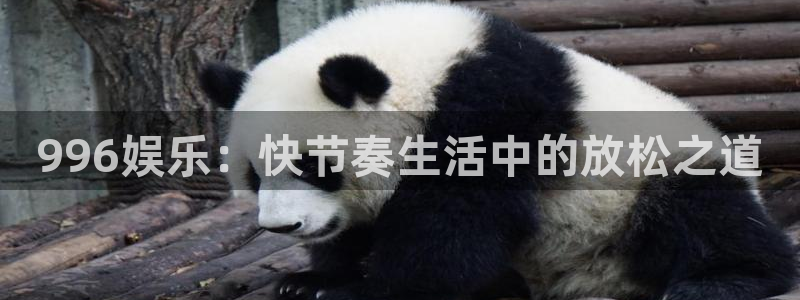 AB娱乐：996娱乐：快节奏生活中的放松之道