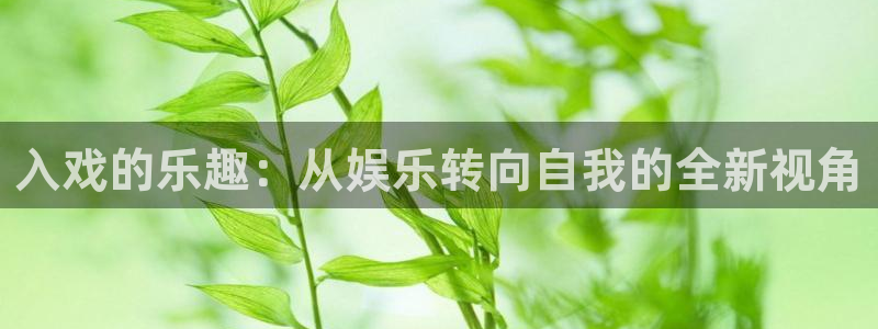 AB娱乐：入戏的乐趣：从娱乐转向自我的全新视角