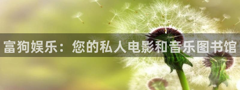 AB娱乐：富狗娱乐：您的私人电影和音乐图书馆