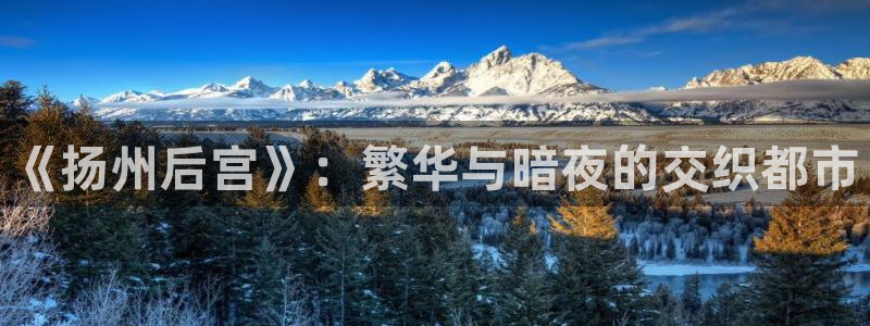 AB娱乐：《扬州后宫》：繁华与暗夜的交织都市
